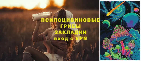 круглые Инта