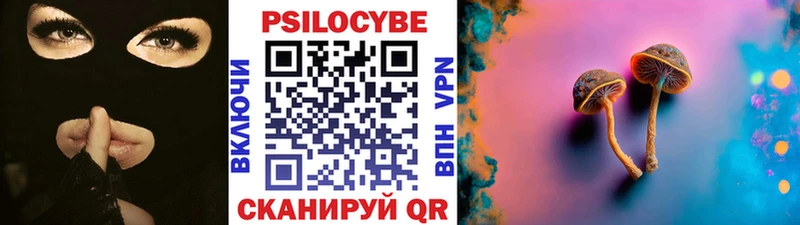 Псилоцибиновые грибы прущие грибы  Купить закладки  Рудня 